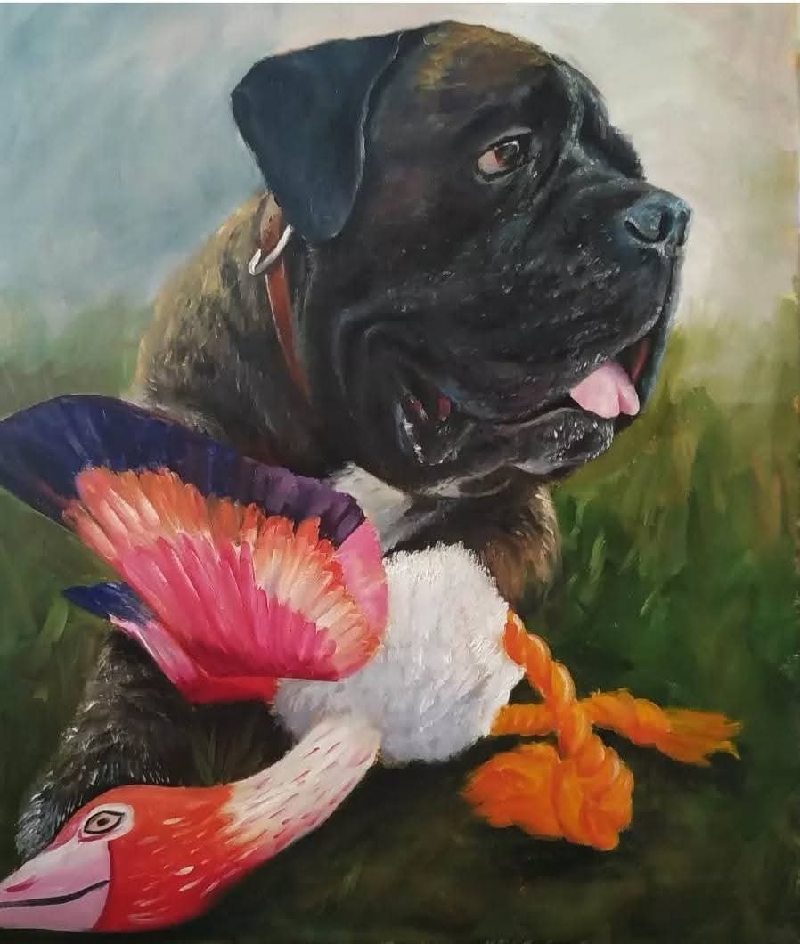 Animals