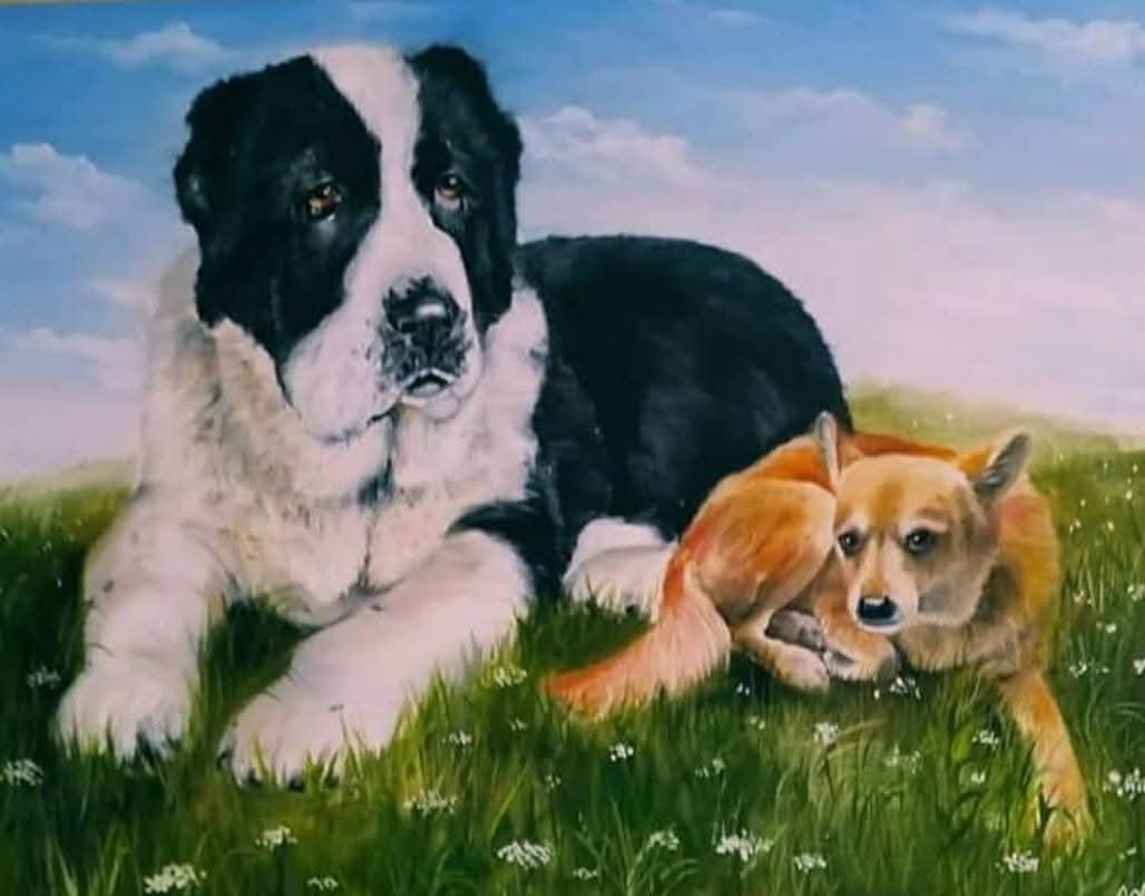 Animals
