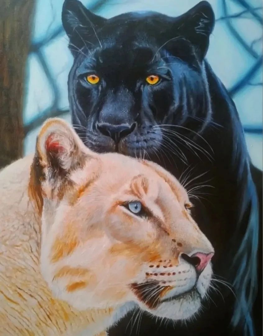 Animals