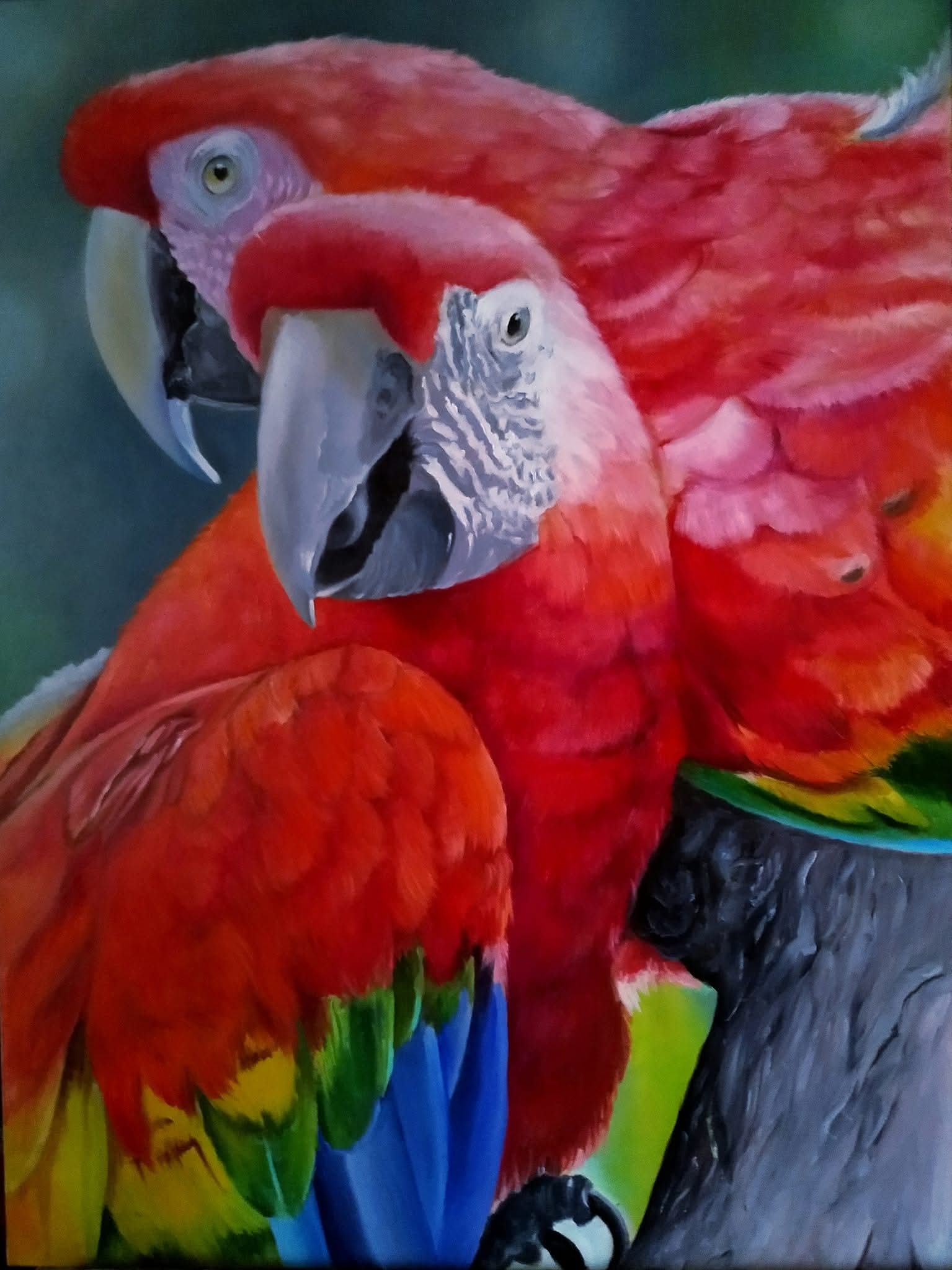 Animals