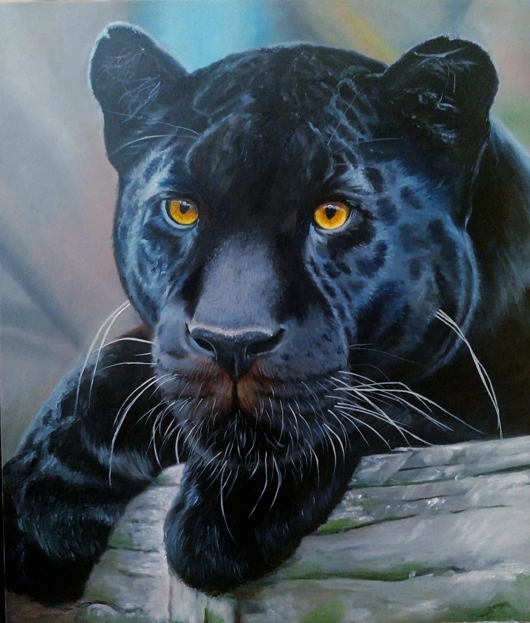 Animals