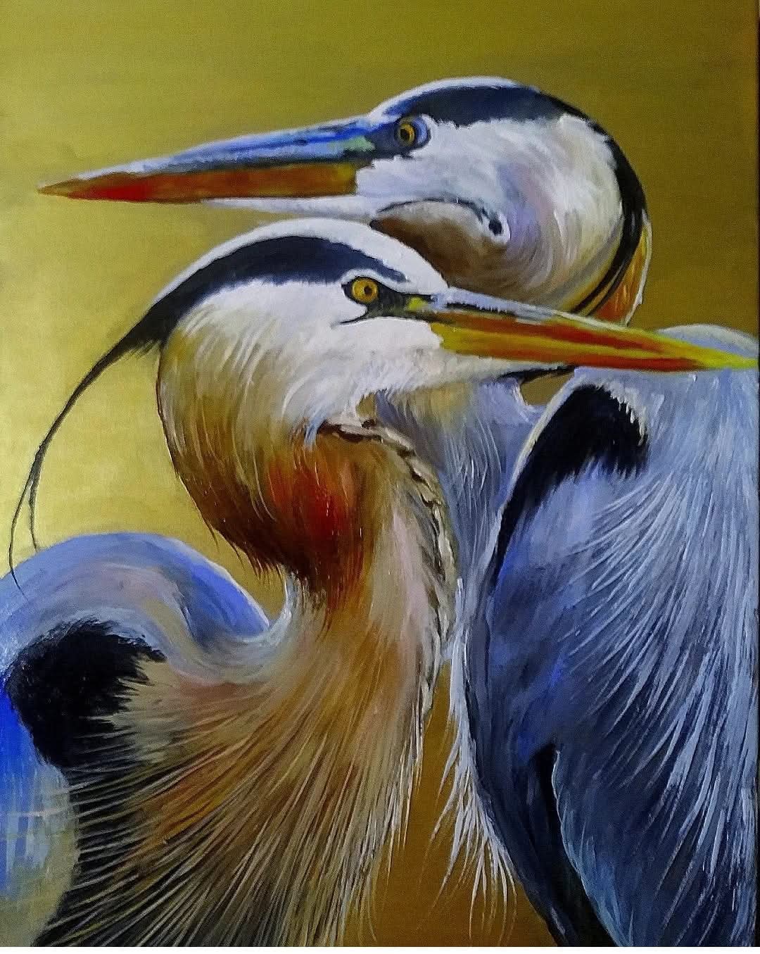 Animals