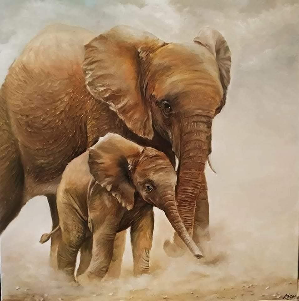 Animals