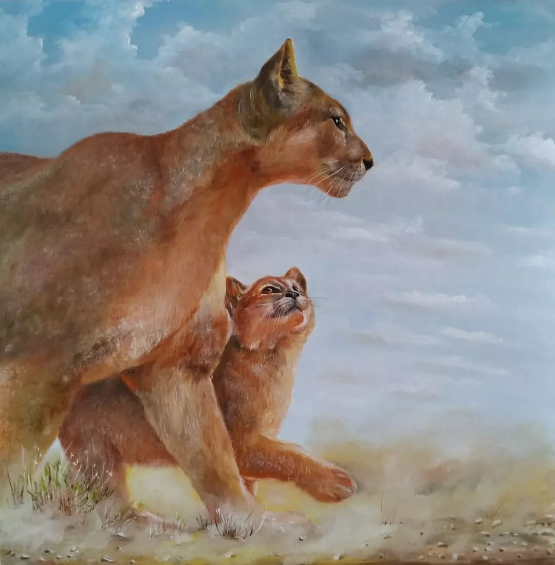 Animals