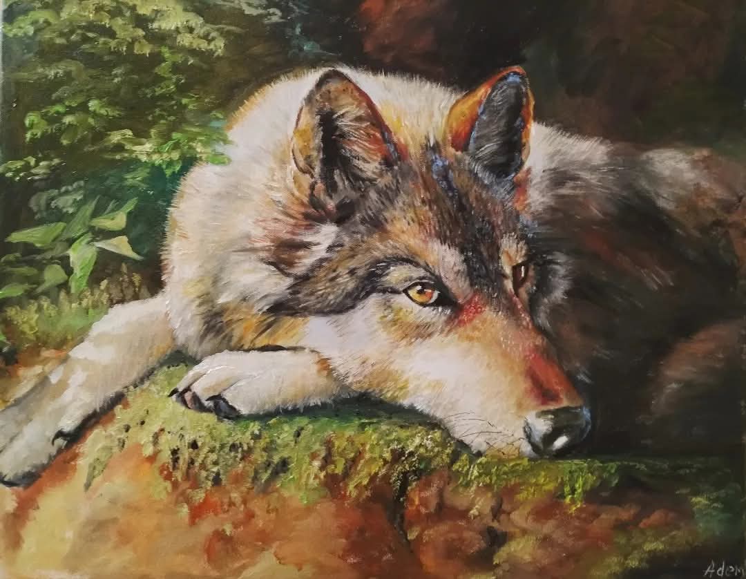 Animals
