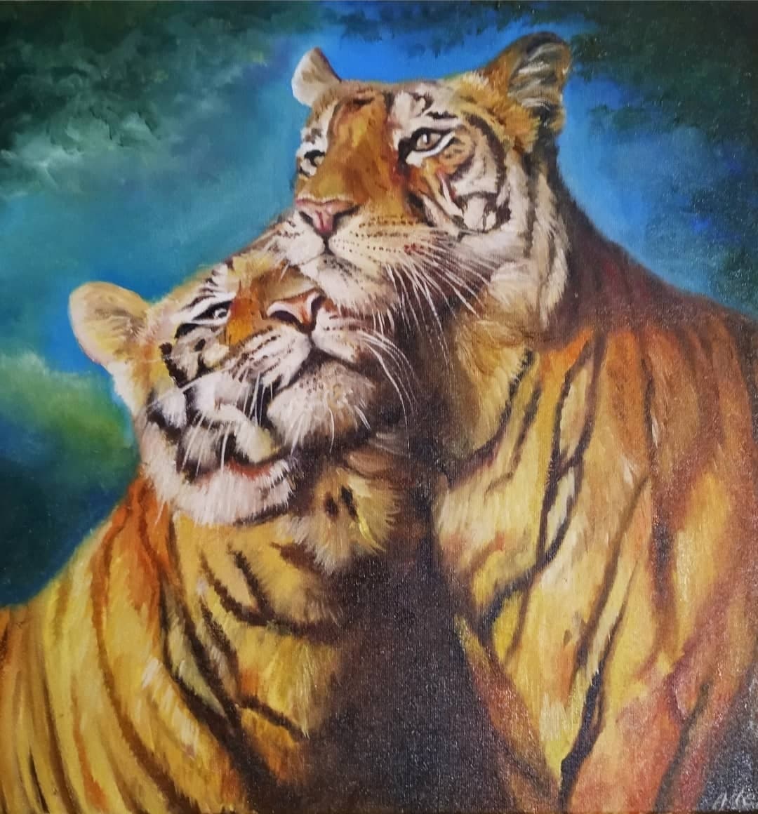 Animals
