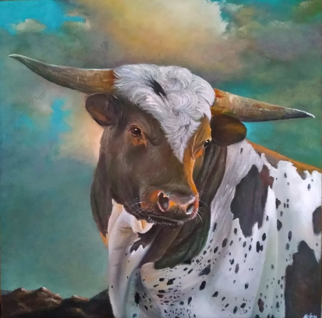 Animals