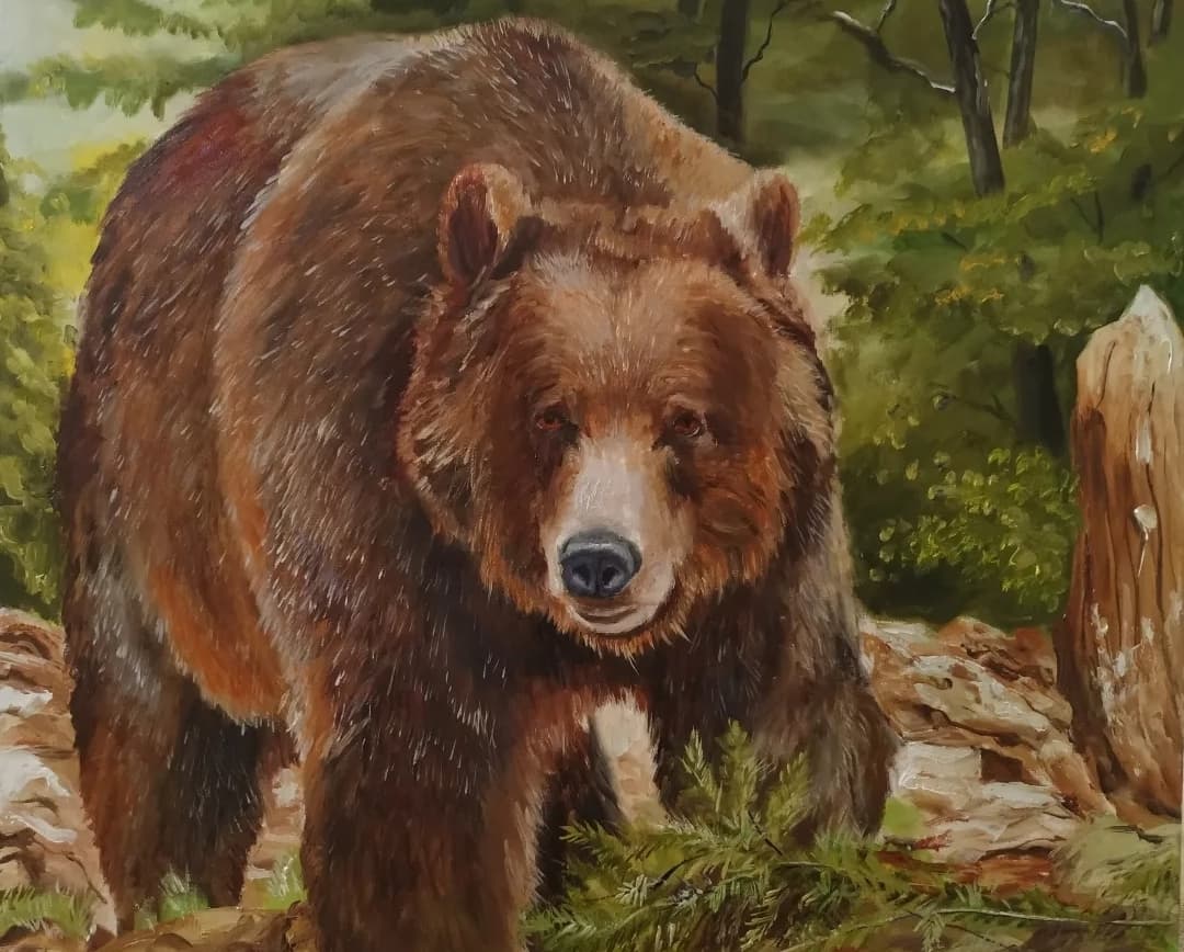Animals