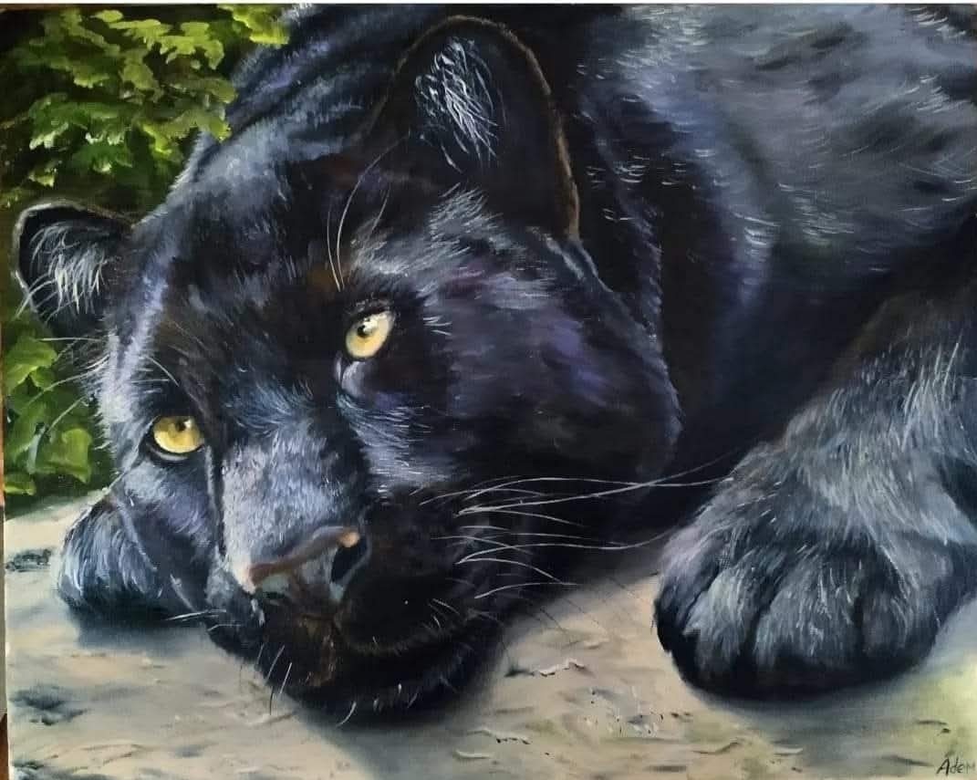 Animals