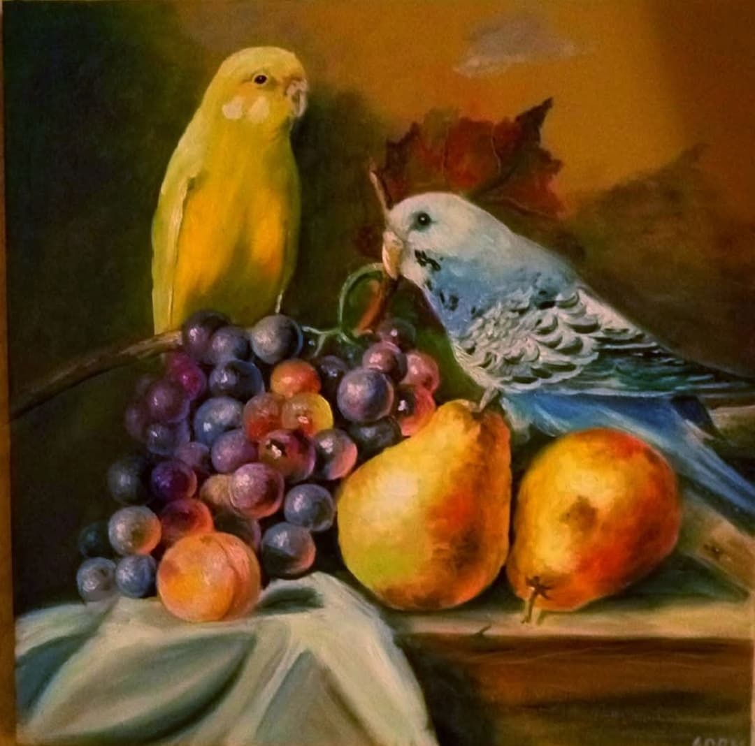 Still Life