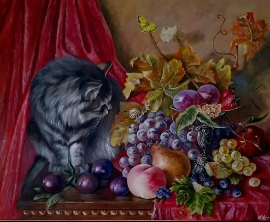 Still Life