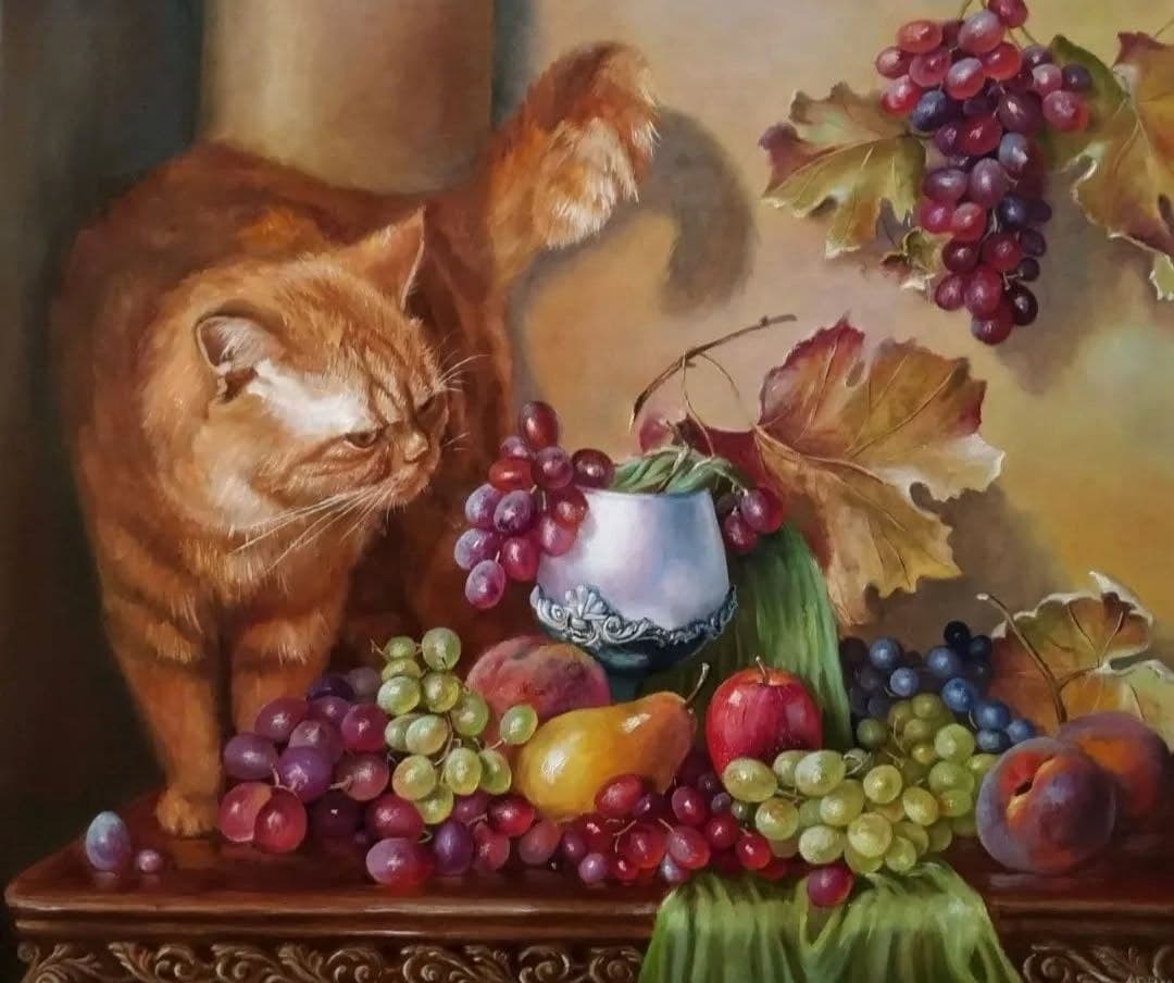 Still Life